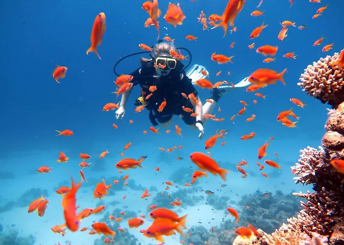 Deep Blue Divers