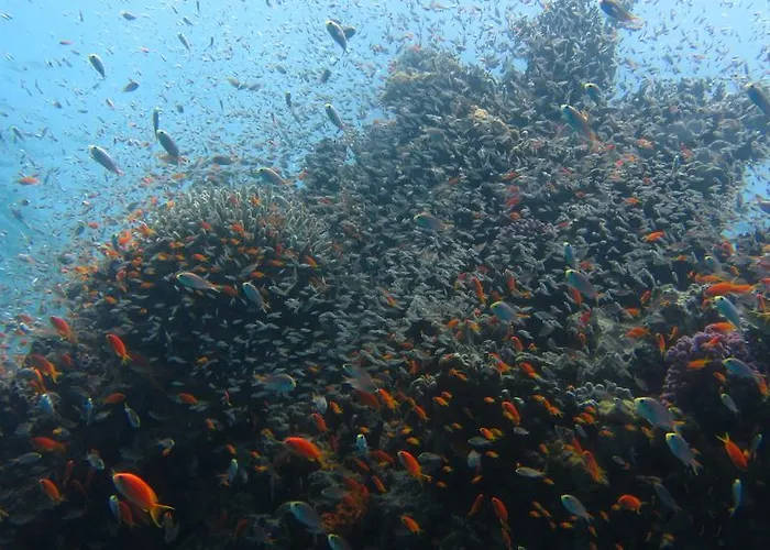 Deep Blue Divers Dahab